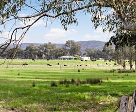 Rural / Farming commercial property sold at 121 Deep Creek Road Chiltern VIC 3683