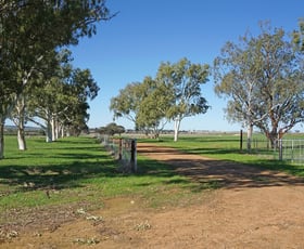 Rural / Farming commercial property sold at 2947 Prices Road Badgingarra WA 6521