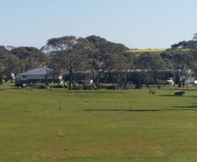 Rural / Farming commercial property sold at Lot 32 Murray Road Dalyup WA 6450