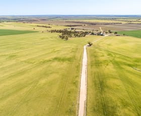 Rural / Farming commercial property sold at 914 Bens Hill Road Kyancutta SA 5651