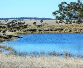 Rural / Farming commercial property sold at 7749 Castlereagh Hwy Aarons Pass NSW 2850