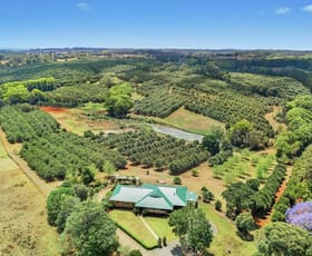 Rural / Farming commercial property sold at 794 Rous Road Tregeagle NSW 2480