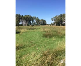 Rural / Farming commercial property sold at 43 Farrellys Road Paget QLD 4740
