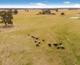 Rural / Farming commercial property sold at 621 Murphys Lane Knowsley VIC 3523