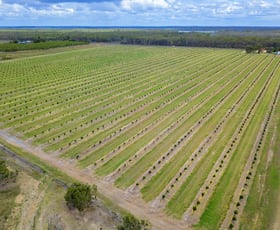 Rural / Farming commercial property sold at Moorland QLD 4670