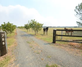 Rural / Farming commercial property sold at 788 Manning Point Road Oxley Island NSW 2430