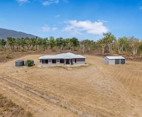 Rural / Farming commercial property sold at 203 Webb Road Majors Creek QLD 4816