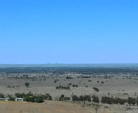 Rural / Farming commercial property sold at 2982 Deearne Road Cockatoo QLD 4419