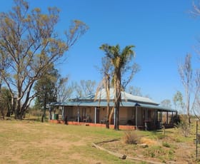 Rural / Farming commercial property sold at 4997 Castlereagh Hwy Gulargambone NSW 2828