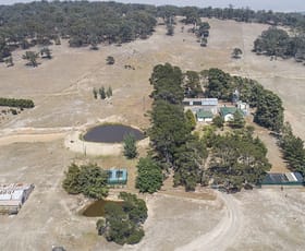 Rural / Farming commercial property sold at 154 Selvon Park Road Goulburn NSW 2580