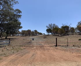 Rural / Farming commercial property sold at Lot 2 Gunning Ridge Road Forbes NSW 2871 Rural / Farming commercial property sold at Lot 2 Gunning Ridge Road Forbes NSW 2871
