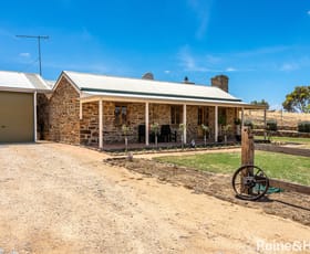 Rural / Farming commercial property sold at 317 Scrubby Hill Road Highland Valley SA 5255