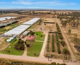 Rural / Farming commercial property sold at 165 Horseshoe Crescent Two Wells SA 5501