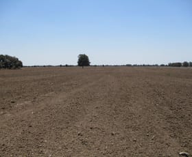 Rural / Farming commercial property sold at 1870 ACRES FARMING AND GRAZING Hannaford QLD 4406 Rural / Farming commercial property sold at 1870 ACRES FARMING AND GRAZING Hannaford QLD 4406