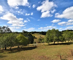Rural / Farming commercial property sold at 441 Cross Road Numulgi NSW 2480