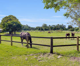 Rural / Farming commercial property sold at 12 Gunsynd Drive Mudgeeraba QLD 4213