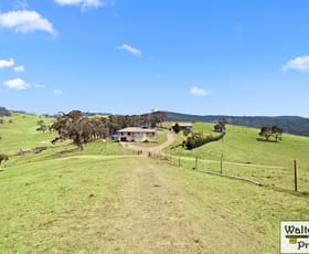 Rural / Farming commercial property sold at 1248 Dark Corner Road Dark Corner NSW 2795