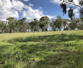 Rural / Farming commercial property sold at 209 Jalna Road Bendemeer NSW 2355