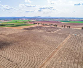 Rural / Farming commercial property sold at 287 Mount Lewis Road Canowindra NSW 2804