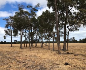 Rural / Farming commercial property sold at Lot 1982 Ludlow-Hithergreen Road Busselton WA 6280