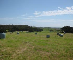 Rural / Farming commercial property sold at 27162 Bass Highway Redpa TAS 7330