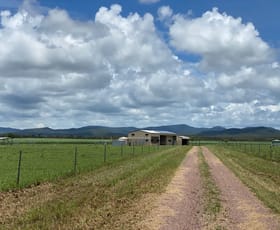 Rural / Farming commercial property sold at 87133 Bruce Highway Ilbilbie QLD 4738