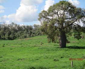 Rural / Farming commercial property sold at 787 ACRES GRAZING COUNTRY Moola QLD 4403