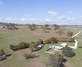 Rural / Farming commercial property sold at 5016 New England Highway Llangothlin NSW 2365