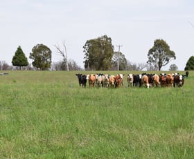 Rural / Farming commercial property sold at 1071 Briarbrook Road Guyra NSW 2365