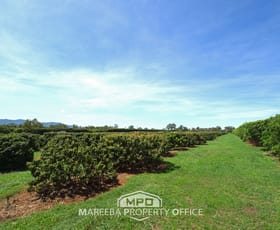 Rural / Farming commercial property for sale at 209 Malone Road Mareeba QLD 4880