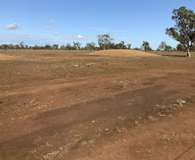 Rural / Farming commercial property sold at . The Additional Narromine NSW 2821