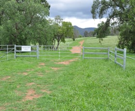 Rural / Farming commercial property sold at Lot 2/304 Doyles Creek Doyles Creek NSW 2330
