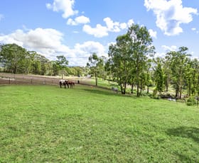 Rural / Farming commercial property sold at 139 Cabbage Tree Road Grose Vale NSW 2753