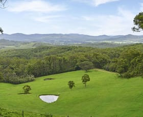 Rural / Farming commercial property sold at Rollands Plains NSW 2441