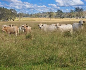 Rural / Farming commercial property sold at Bollier QLD 4570
