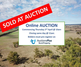 Rural / Farming commercial property sold at 1475 River Road Caniambo VIC 3630