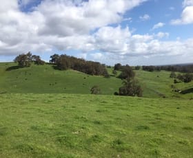 Rural / Farming commercial property sold at 903 Kirkpatrick Road Upper Capel WA 6239