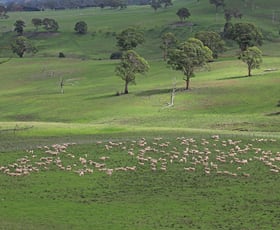 Rural / Farming commercial property sold at 1889 Greenhills Road Guyra NSW 2365