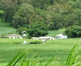 Rural / Farming commercial property sold at 100 Whitakers Road Sarina QLD 4737