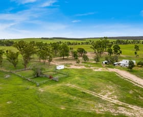 Rural / Farming commercial property sold at 202 Strathyre Road Karara QLD 4352