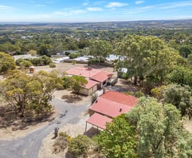 Rural / Farming commercial property sold at 48 Old Willunga Hill Road Willunga SA 5172