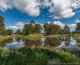 Rural / Farming commercial property sold at 136 Millers Road Spring Creek QLD 4343