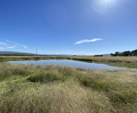 Rural / Farming commercial property sold at 115 Milford Hills Lane Scone NSW 2337