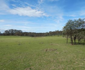 Rural / Farming commercial property sold at Lot 119-125/127 Newline Road Glen Allen NSW 2631