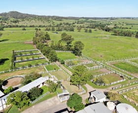 Rural / Farming commercial property sold at 110 Knockfin Road Luskintyre NSW 2321