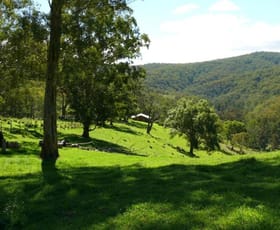 Rural / Farming commercial property sold at 700 Shearers Road Hanging Rock NSW 2340