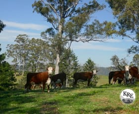 Rural / Farming commercial property for sale at 429 Wyndham Creek Road Kyogle NSW 2474