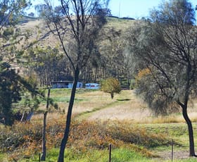 Rural / Farming commercial property sold at 100 Snowy Mountains Highway Adelong NSW 2729