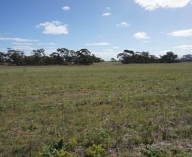 Rural / Farming commercial property sold at 1028 Warro Road Boothendarra WA 6521