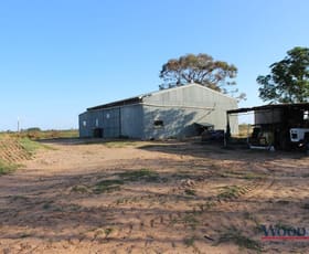 Rural / Farming commercial property sold at 44 Lusty Lane Nyah West VIC 3595